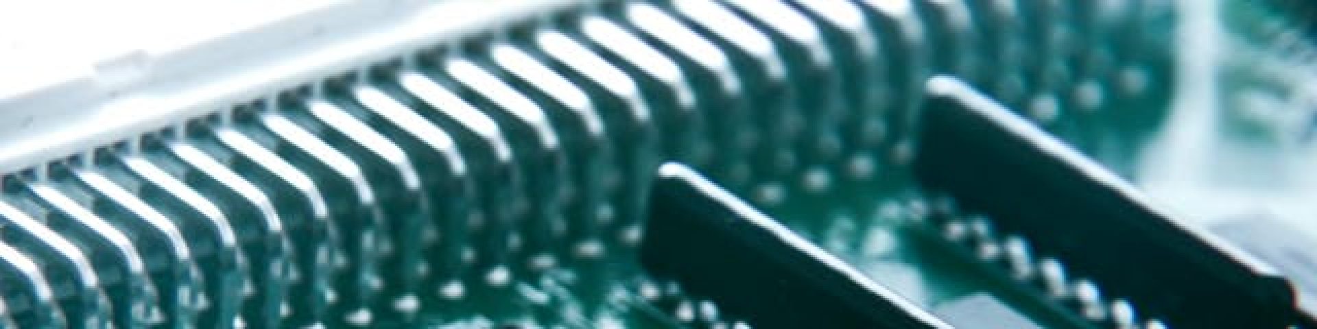 ビットコインより所有者が多いフォルスクラブで出来ることと出来ないこと